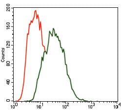 C-TAK1 / MARK3 Antibody (Amino Acid: 435-658, clone 2G12)