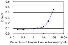 PURA / Pur-Alpha Antibody (clone 3A9)