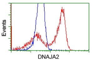 DNAJA2 Antibody (clone OTI1G3)