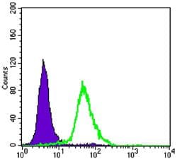CRTC2 / TORC2 Antibody (clone 5B10)