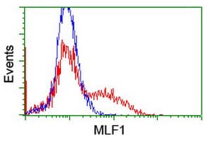 MLF1 Antibody (clone OTI2H10)