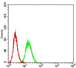 Complement C3 Antibody (clone 4C6A8)