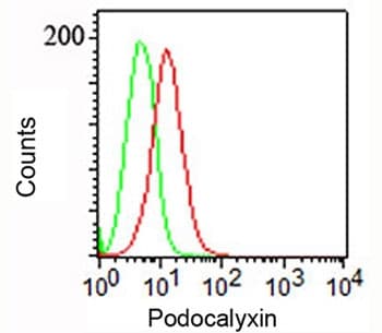 PODXL / Podocalyxin Antibody (Extracellular Domain, clone 3D3, Ready-to-Use)
