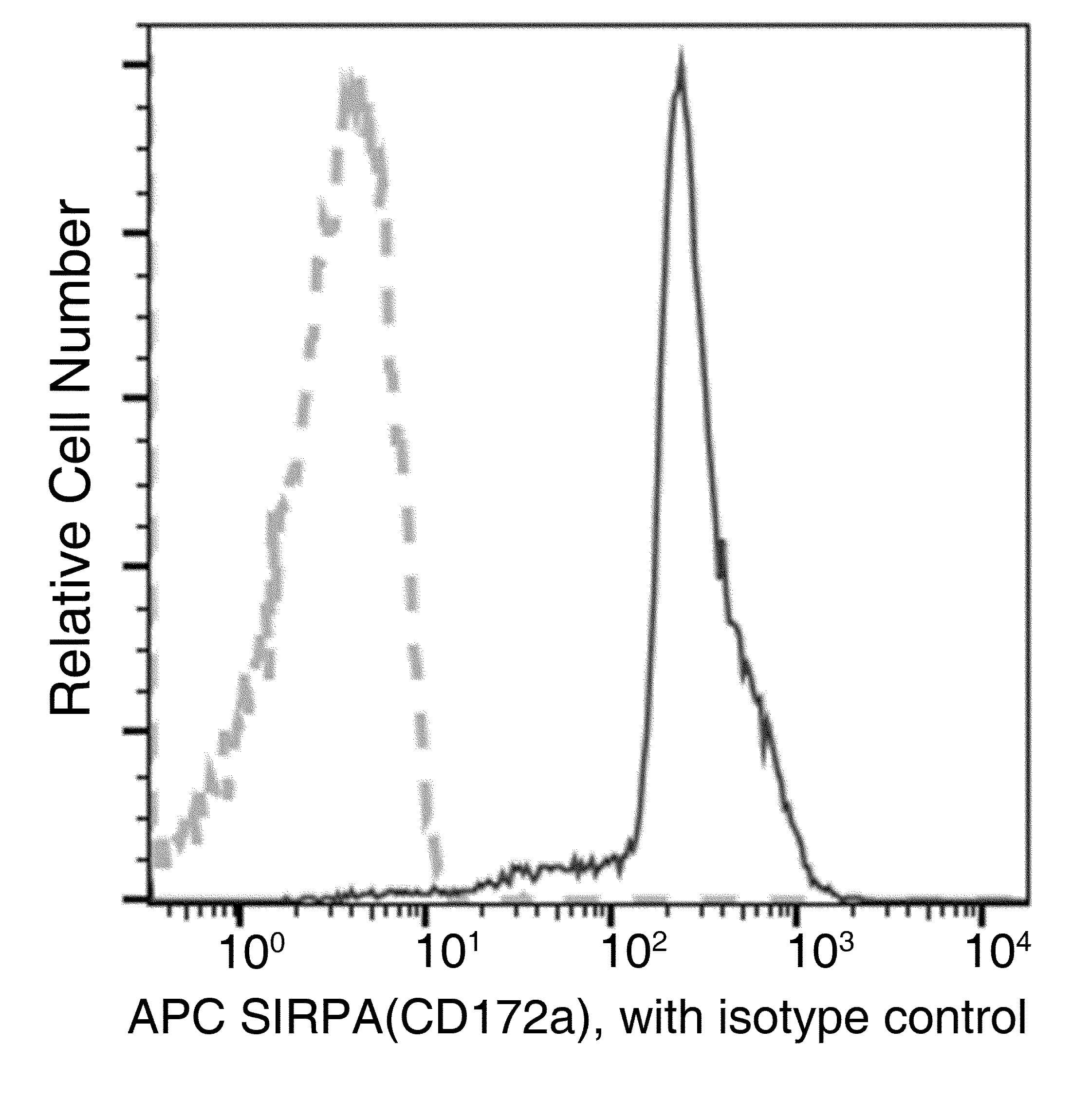 SIRPA / CD172a Antibody (clone 012, APC)