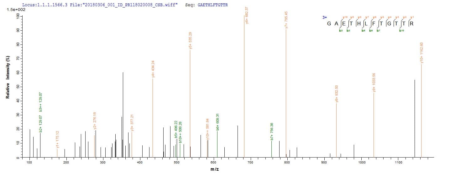 Mistletoe Beta-galactoside-specific lectin 1 Protein (Recombinant 6His, N-terminus)