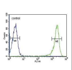 PSMB1 Antibody (aa214-241)