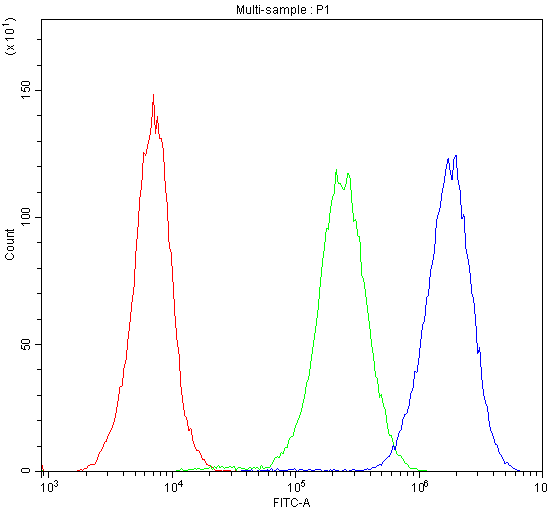 Polyclonal Rabbit anti-Human NRXN1 / Neurexin 1 Antibody (IHC, WB)
