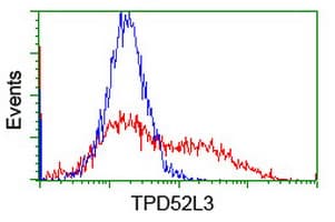 TPD52L3 Antibody (clone OTI8C12)