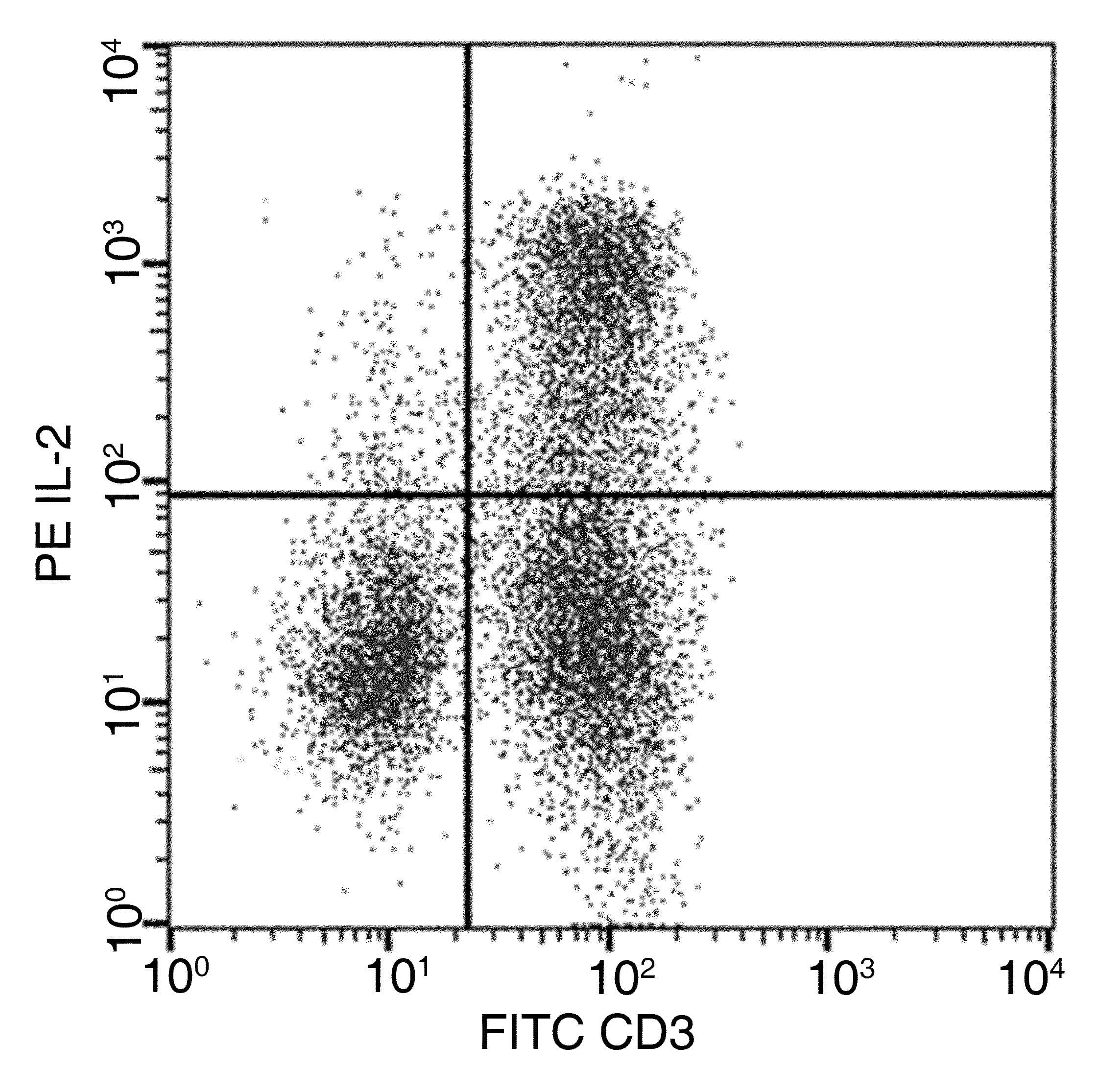 IL2 Antibody (clone 03, PE)