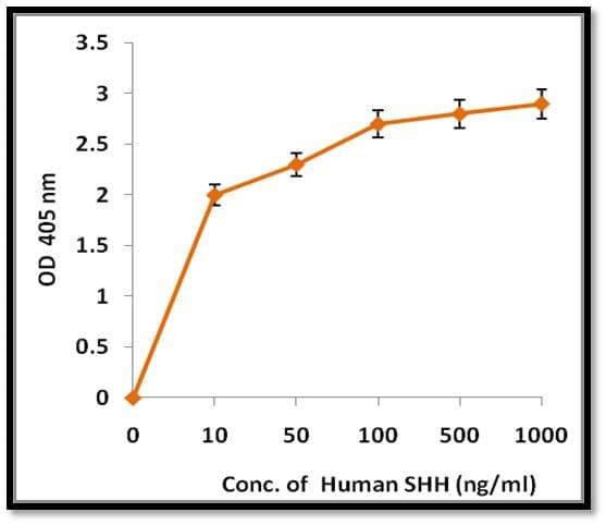 Human SHH / Sonic Hedgehog Protein (Recombinant)