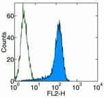Monoclonal Rat anti-Mouse PD-L2 / PDCD1LG2 / CD273 Antibody (clone TY25, IHC, WB)