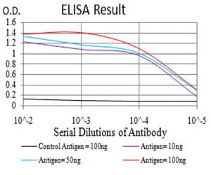 TH / Tyrosine Hydroxylase Antibody (clone 1B8D2)
