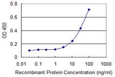 RBMY1A1 Antibody (clone 3G1)