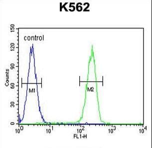 RPL27A Antibody (aa110-138)