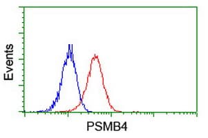 PSMB4 Antibody (clone OTI2H2)