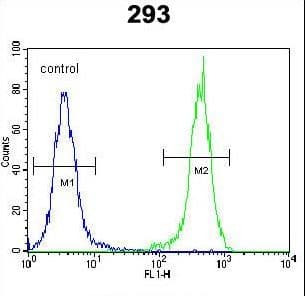OTUD6B Antibody (aa234-262)