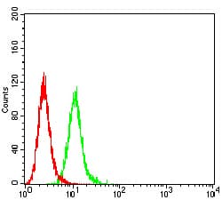 ALDH1A1 / ALDH1 Antibody (clone 2B2G1)