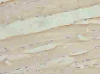 PID1 Antibody
