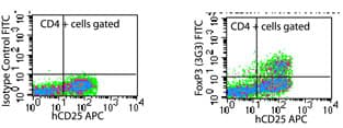 FOXP3 Antibody (N-Terminus, clone 3G3, FITC)