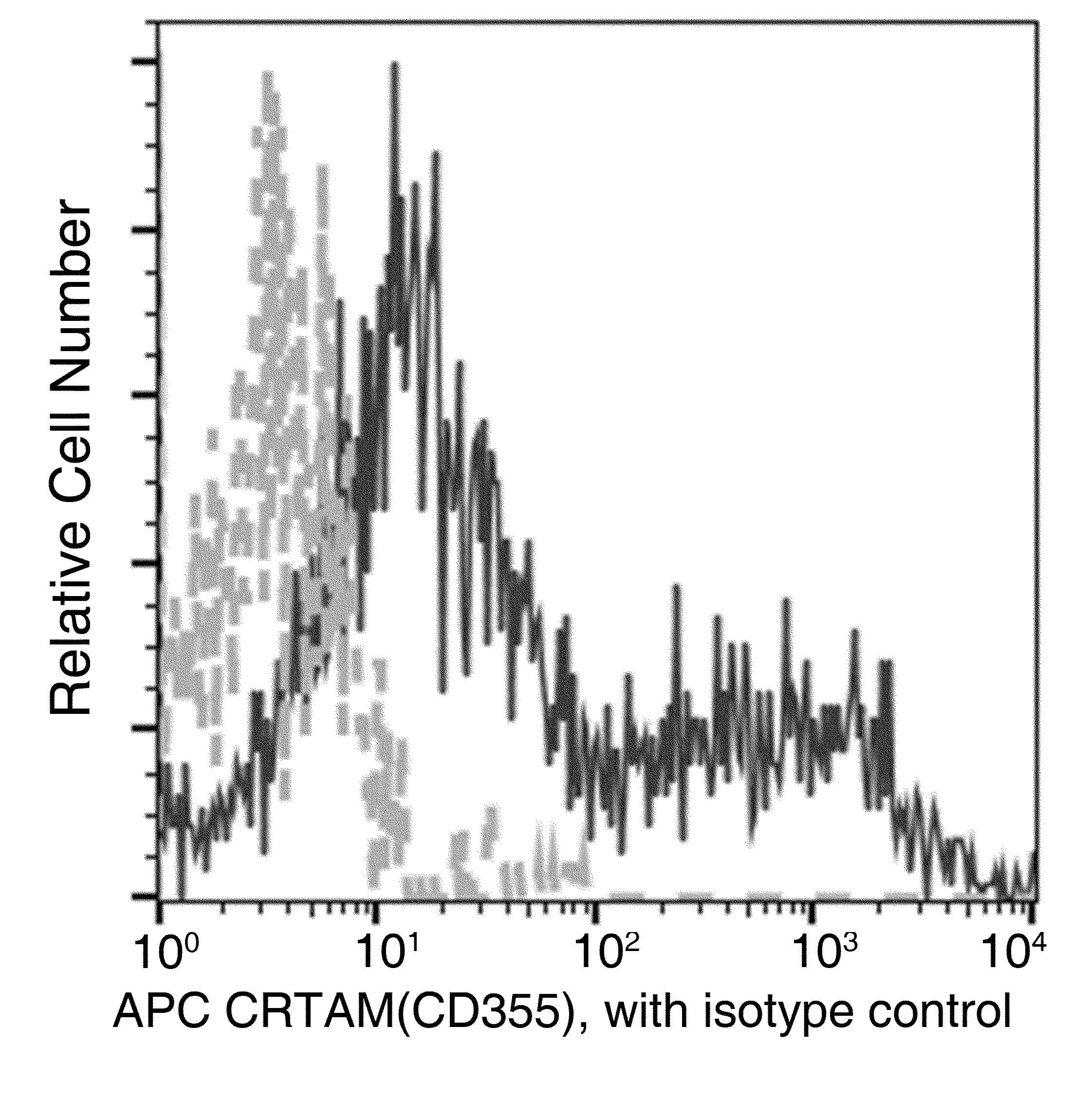 Monoclonal Mouse anti-Human CRTAM Antibody (clone 08, APC)