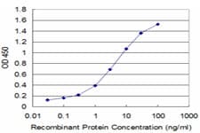 PLP1 / Myelin PLP Antibody (clone 2D7)