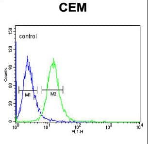 ZNF160 Antibody (aa143-171)