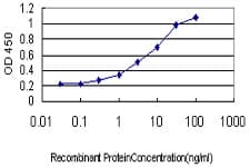 GUCY2C / Guanylyl Cyclase C Antibody (clone 2F3)