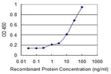 FMNL1 Antibody (clone 1D7)