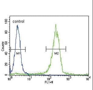 SOCS1 Antibody (aa35-66)