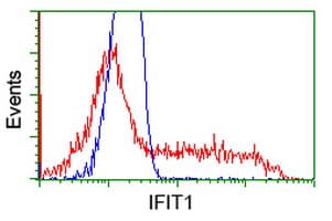 IFIT1 / ISG56 Antibody (clone OTI3G8)