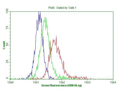 CD19 Antibody (clone UMAB103)