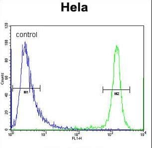 DRG1 / NEDD3 Antibody (aa334-363)