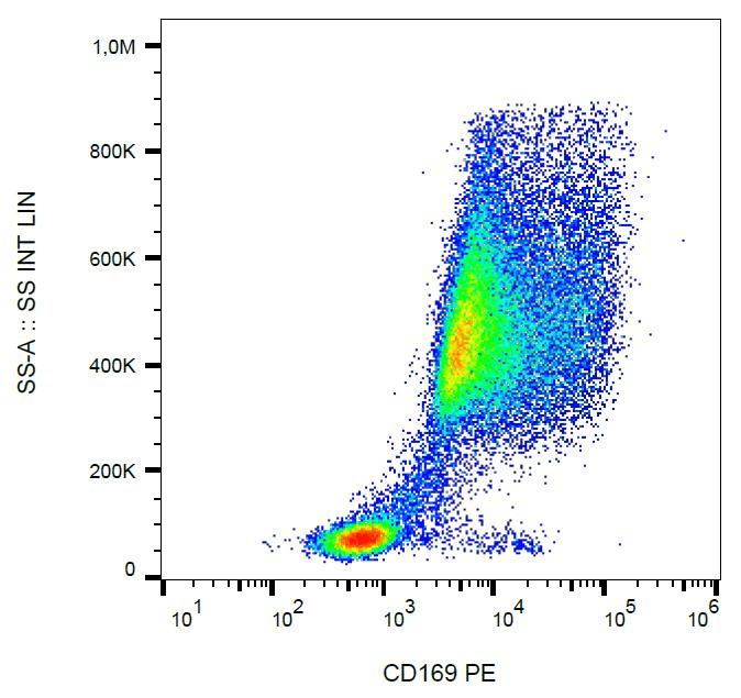 Monoclonal Mouse anti-Human SIGLEC1 / CD169 / Sialoadhesin Antibody (clone 7-239, PE, IHC, WB)