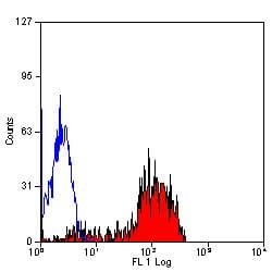 CD52 Antibody (clone YTH34.5, Low Endotoxin)