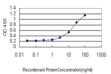 MUC4 Antibody (clone 5B12)