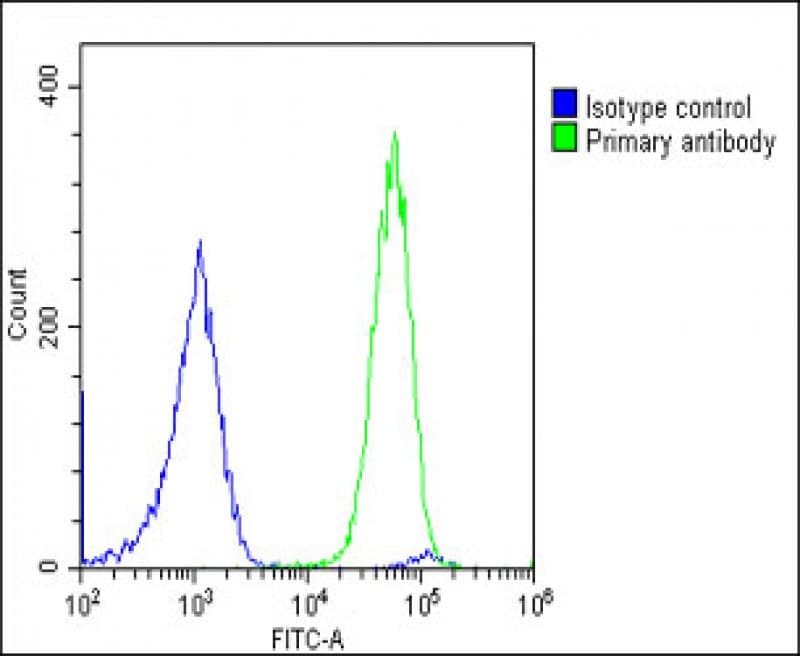 GCL / Grancalcin Antibody (N-Terminus)