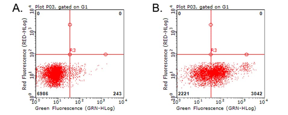 CD274 / B7-H1 / PD-L1 Antibody (clone OTI2F5)