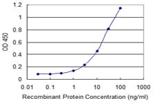 Monoclonal Mouse anti-Human ZNF263 Antibody (clone 3C9, WB)