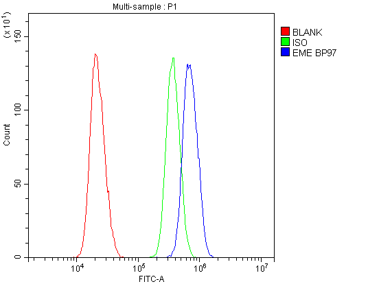 Polyclonal Rabbit anti-Human EME1 Antibody (aa520-561, IHC, WB)