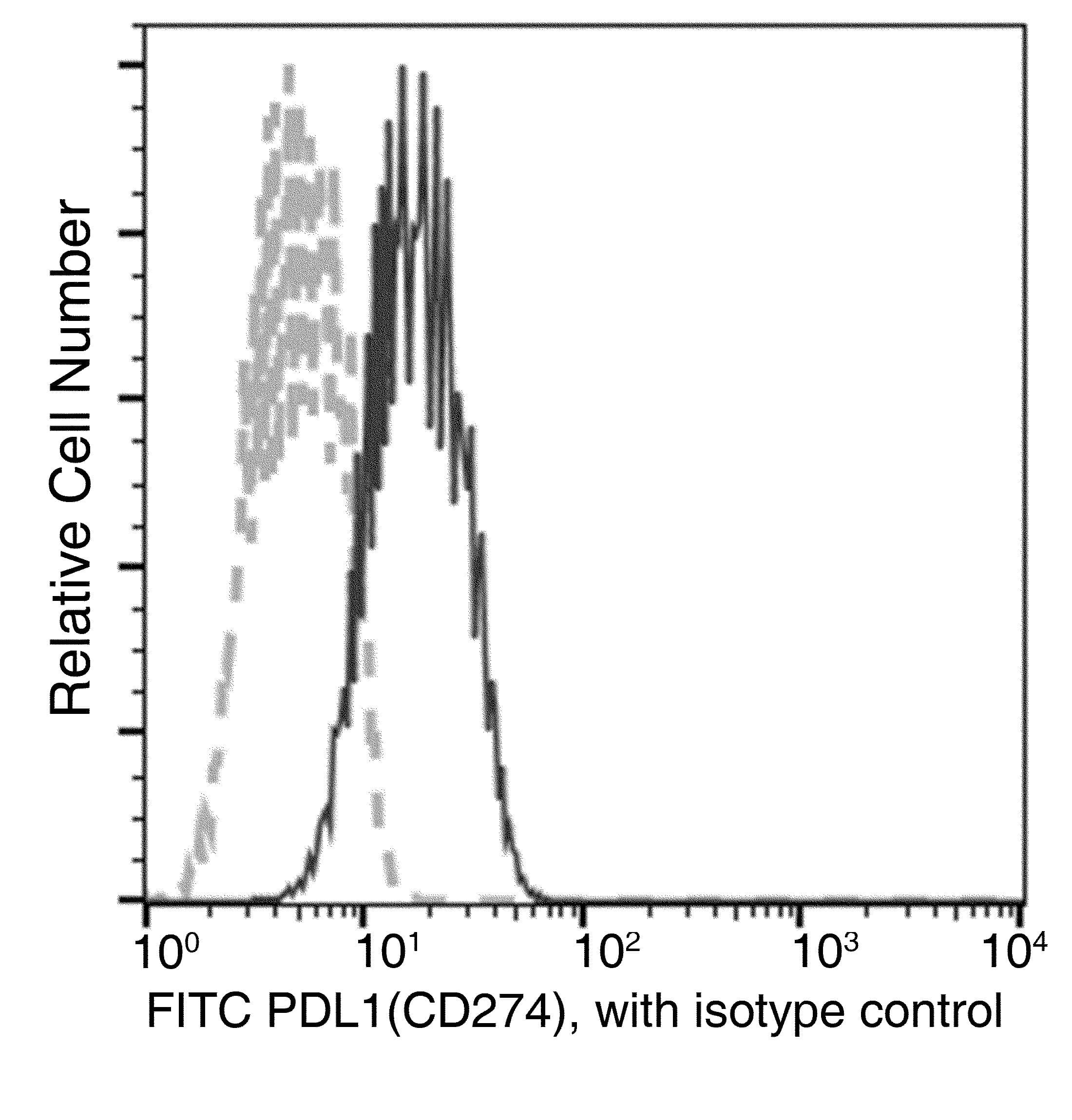 Monoclonal Rabbit anti-Human CD274 / B7-H1 / PD-L1 Antibody (clone 611, FITC)