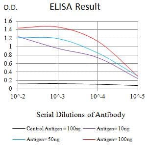 TBP / GTF2D Antibody (clone 7G11C8)