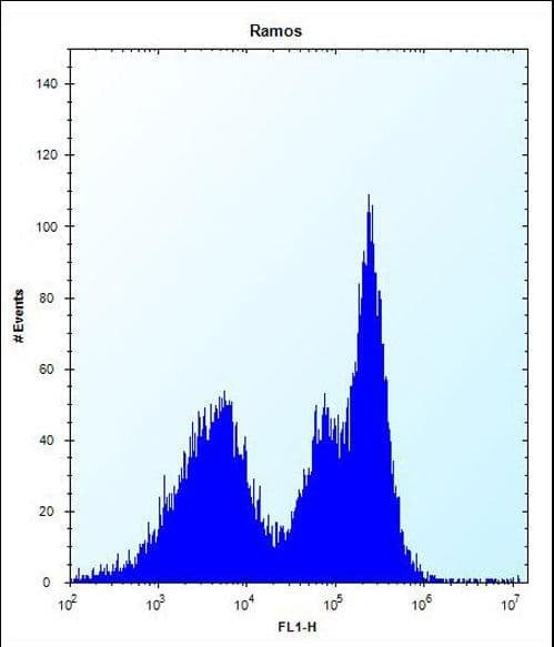 ZAP70 Antibody (aa276-304)