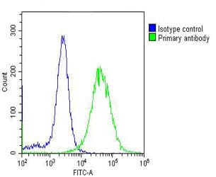 GAPDH Antibody (clone 1653CT401.3.33)