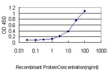 Monoclonal Mouse anti-Human UBL3 Antibody (clone 3A8, WB)