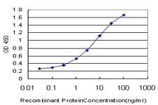 Monoclonal Mouse anti-Human AKAP82 / AKAP4 Antibody (clone 4C10, WB)