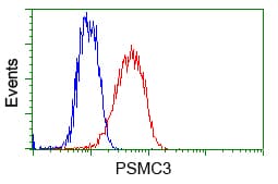 PSMC3 Antibody (clone OTI8D6)
