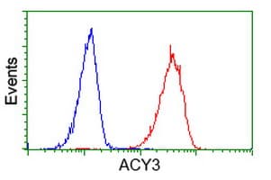 ACY3 Antibody (clone OTI2G4, Carrier-free)