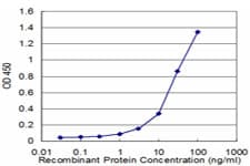 STX4 / Syntaxin 4 Antibody (clone 6A1)
