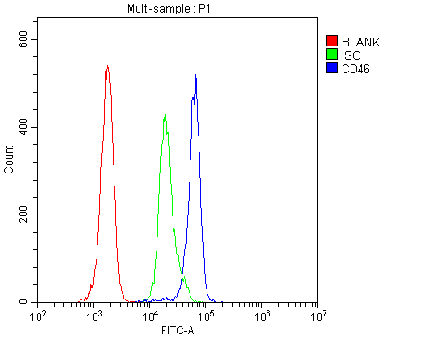 CD46 Antibody (aa366-392)