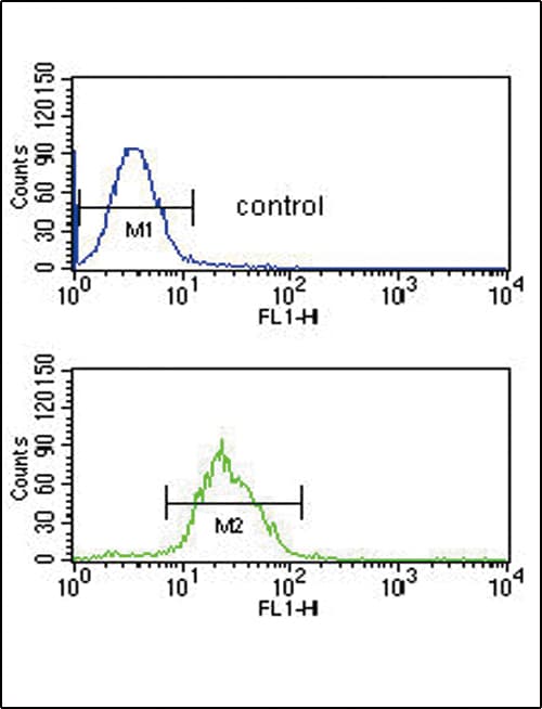 Polyclonal Rabbit anti-Human ITPKC Antibody (aa89-117, IHC, WB)